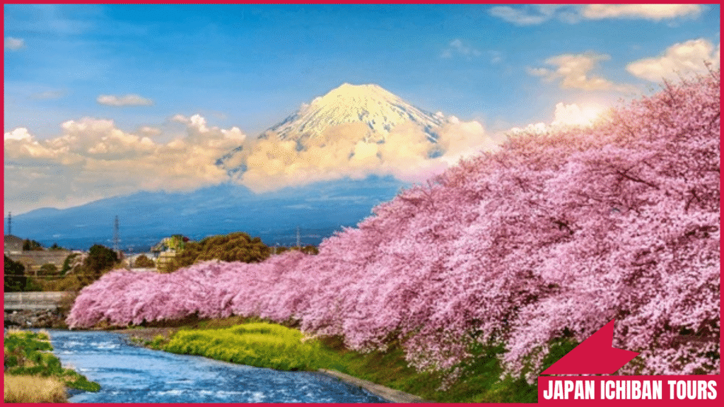 How to Travel to Japan for the First Time in 2026