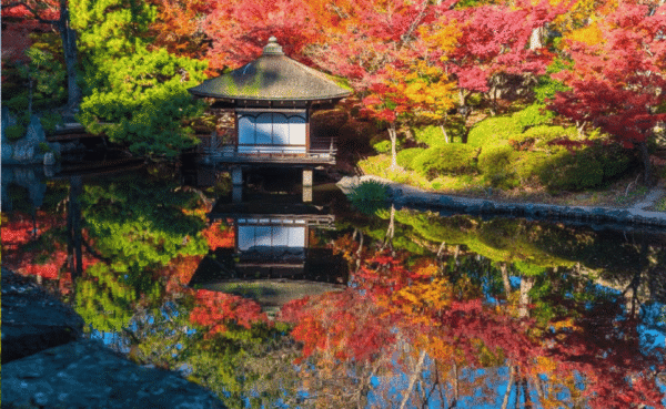 From Osaka/Kyoto: Mount Koya & Wakayama Private Day Trip . - Image 5