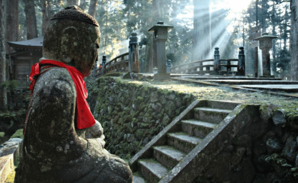 From Osaka/Kyoto: Mount Koya & Wakayama Private Day Trip . - Image 7