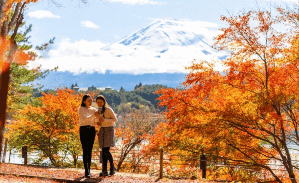 Tokyo: Mt. Fuji and Hakone tour with English Speaking Driver - Image 4