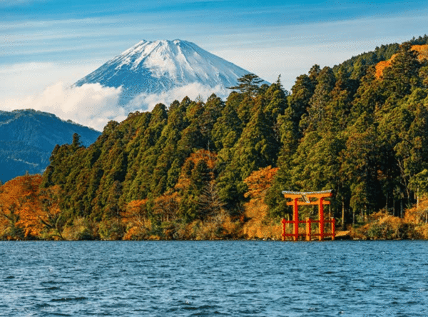 Tokyo: Mt. Fuji and Hakone tour with English Speaking Driver - Image 7