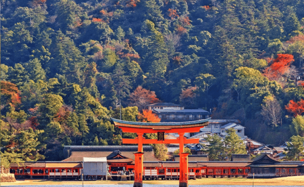 From Osaka/Kyoto: Hiroshima and Miyajima Private Tour - Image 2