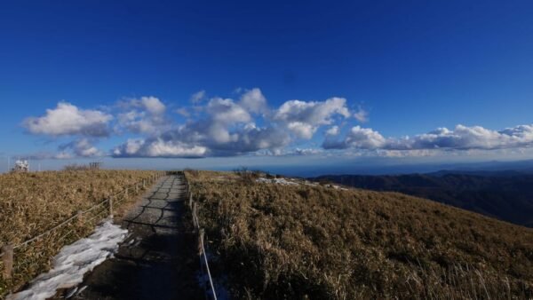 From Tokyo: Hakone, Lake Ashi Private Sightseeing Day Trip - Image 3