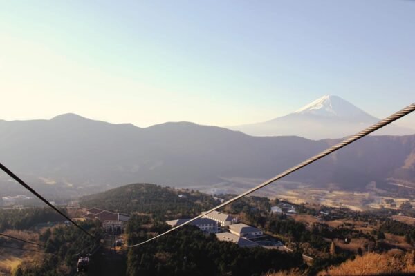 From Tokyo: Hakone, Lake Ashi Private Sightseeing Day Trip - Image 2