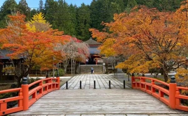 From Osaka/Kyoto: Mount Koya & Wakayama Private Day Trip . - Image 6