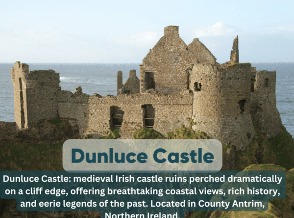 Dublin: Private Luxury Tour to Belfast and Giant's Causeway - Image 9