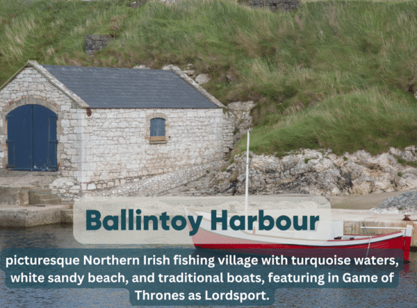 Dublin: Private Luxury Tour to Belfast and Giant's Causeway - Image 8