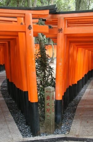 From Osaka/Kyoto: Kyoto & Nara Private Day Trip