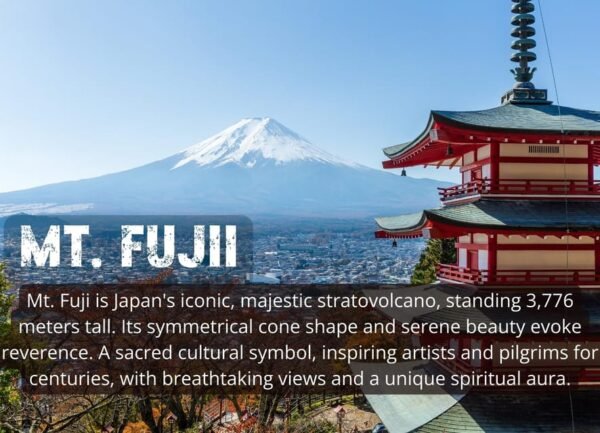 Tokyo: Mt. Fuji and Hakone tour with English Speaking Driver - Image 3
