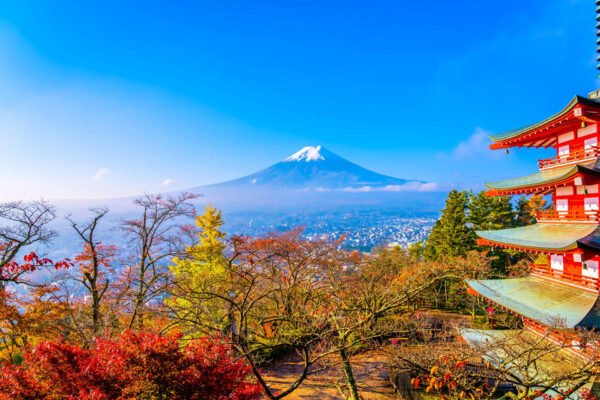 Tokyo: Mt. Fuji and Hakone tour with English Speaking Driver - Image 6