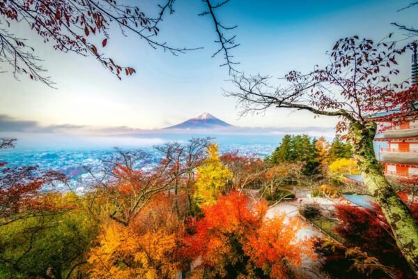 Tokyo: Mt. Fuji and Hakone tour with English Speaking Driver - Image 8