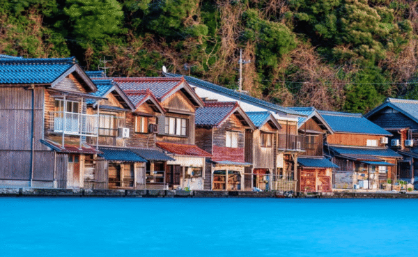 Kyoto/Osaka: Kyoto Coast, Amanohashidate & Ine Bay Day Trip - Image 3