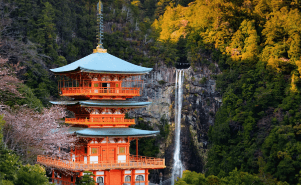 From Osaka/Kyoto: Mount Koya & Wakayama Private Day Trip . - Image 2
