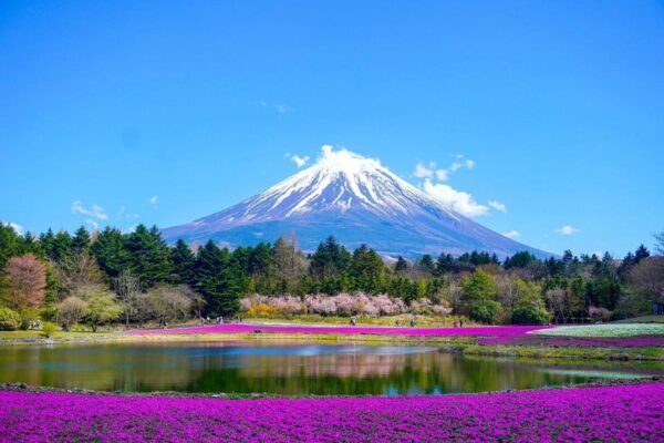Tokyo: Mt. Fuji and Hakone tour with English Speaking Driver - Image 9