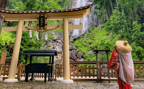 From Osaka/Kyoto: Mount Koya & Wakayama Private Day Trip . - Image 3
