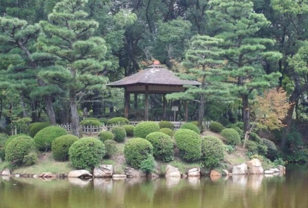 From Osaka/Kyoto: Hiroshima and Miyajima Private Tour - Image 4