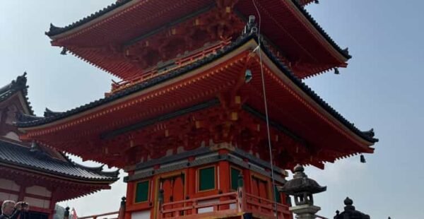 From Osaka/Kyoto: Kyoto & Nara Private Day Trip - Image 4