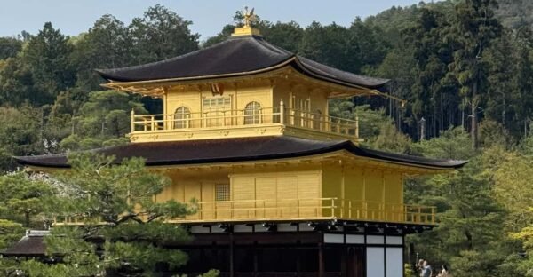 From Osaka/Kyoto: Kyoto & Nara Private Day Trip - Image 5
