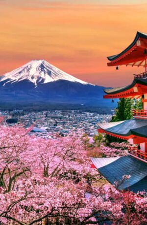 Tokyo: Mt. Fuji and Hakone tour with English Speaking Driver