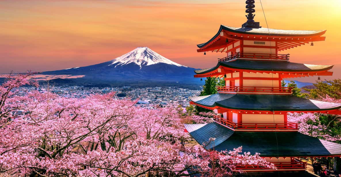 Tokyo: Mt. Fuji and Hakone tour with English Speaking Driver