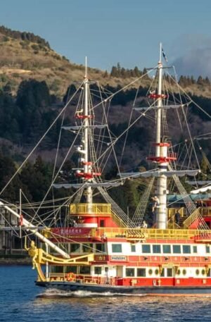 From Tokyo: Hakone, Lake Ashi Private Sightseeing Day Trip
