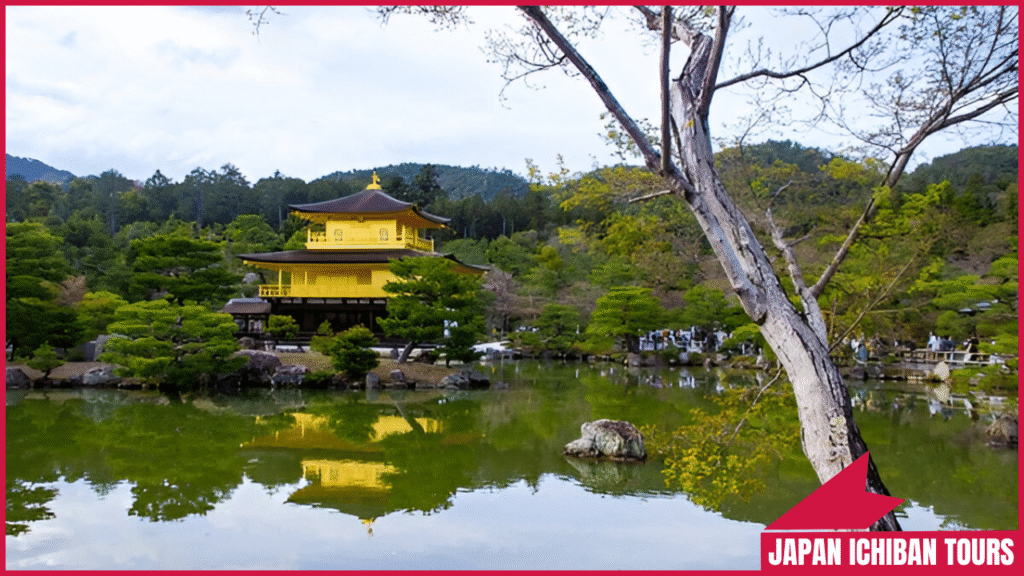 Kinkaku-ji (Golden Pavilion): A Golden Masterpiece