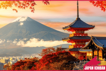 Best Things to Do in Kyoto