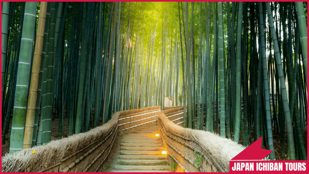 Arashiyama Bamboo Grove: Nature’s Serenity