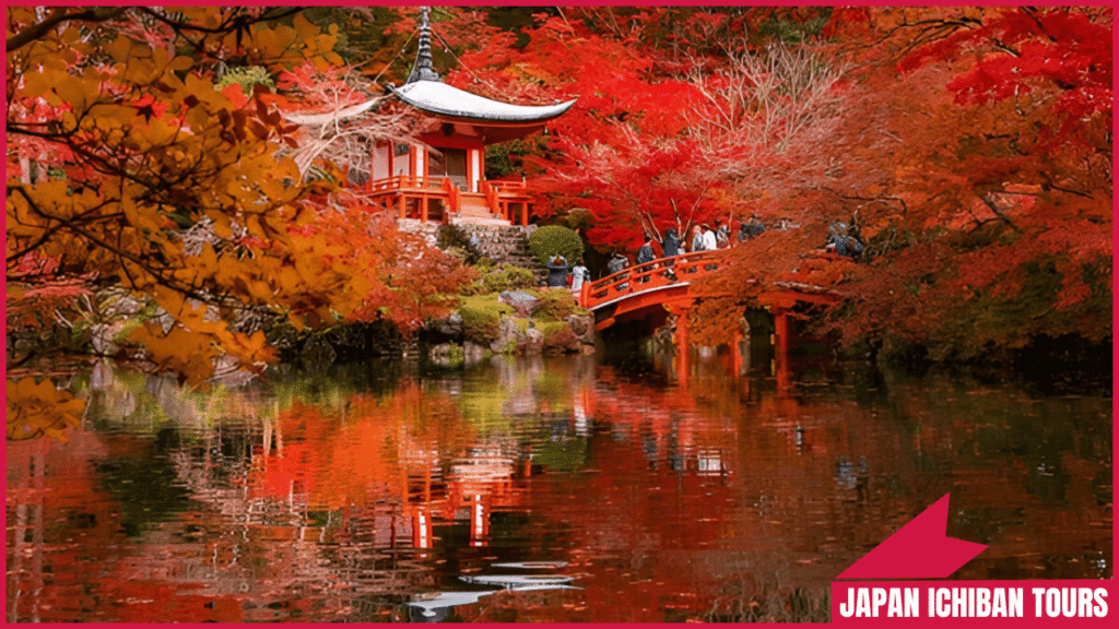 What Are the Best Things to Do in Kyoto? - in 2025