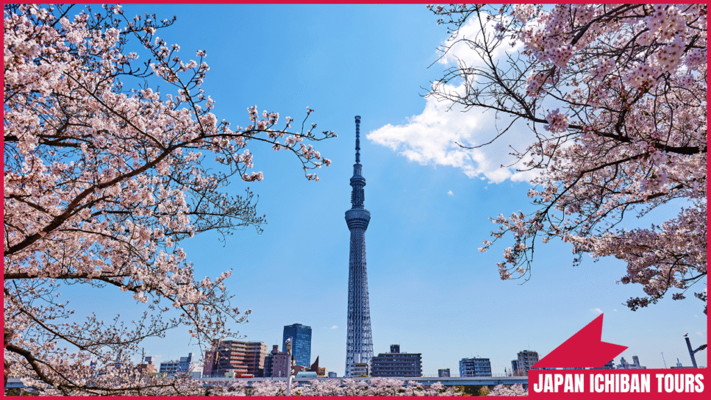 Must Do in Tokyo: Top Experiences You Can’t Miss in 2025