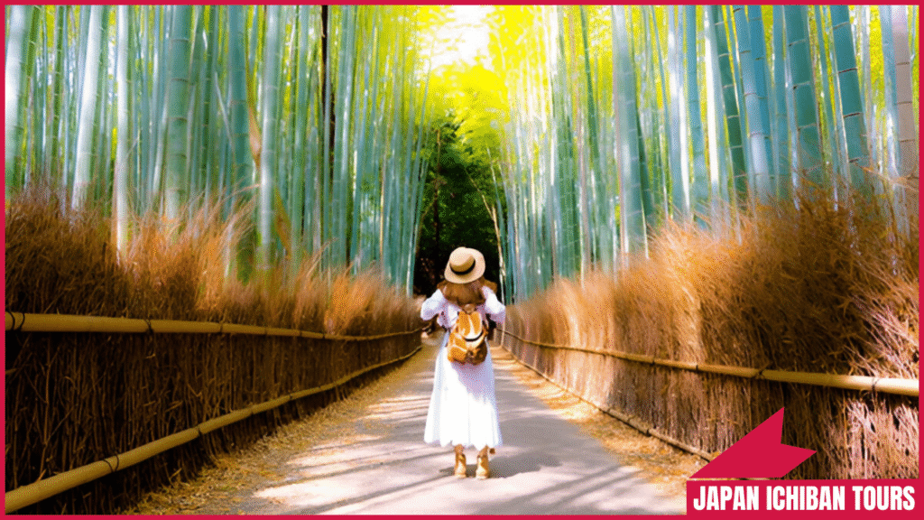Japan the Ultimate Destination