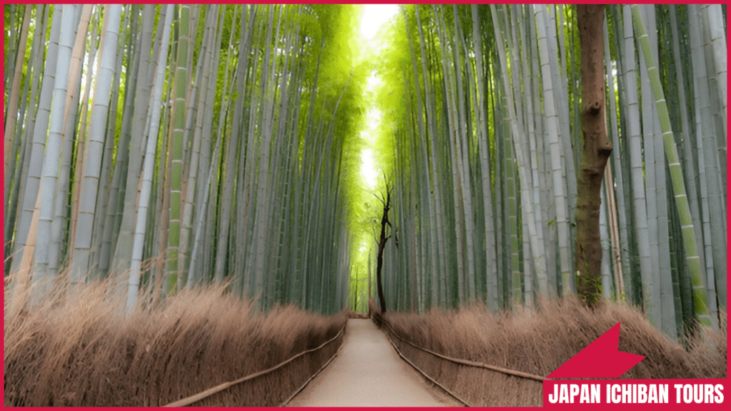Japan the Ultimate Destination