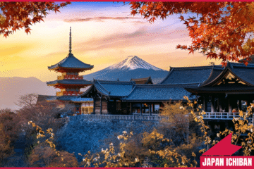 5 Best Places to Visit in Kyoto: Top Attractions & Landmarks