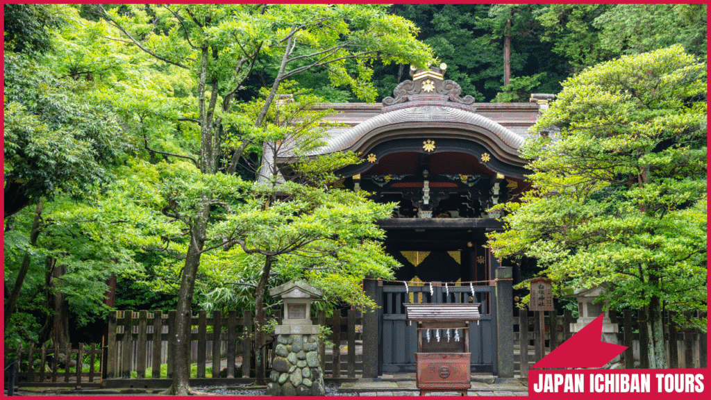 Kamakura Day Trip Itinerary – Temples, Shrines & Beaches