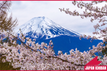 Most Popular Mount Fuji Tourist Spots
