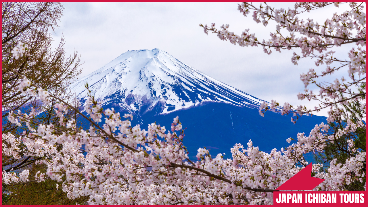 Most Popular Mount Fuji Tourist Spots