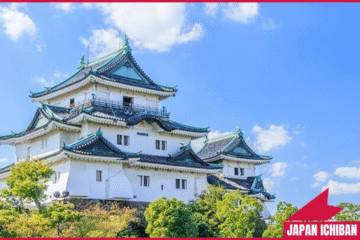 Wakayama Private Day Trip