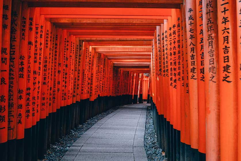fushimiinari2019838